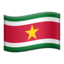 🇸🇷